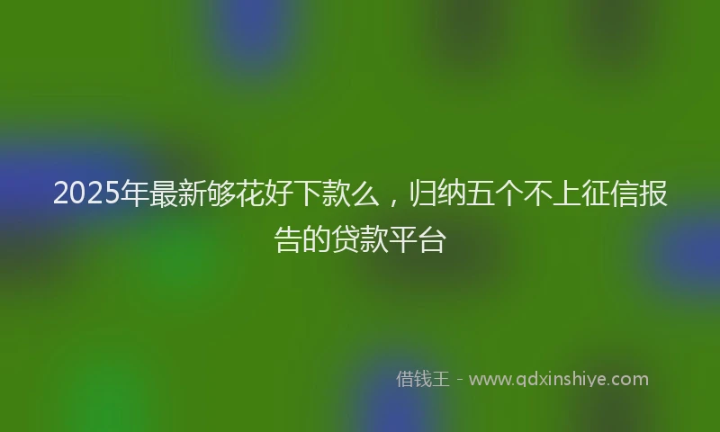2025年最新够花好下款么，归纳五个不上征信报告的贷款平台