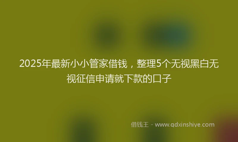 2025年最新小小管家借钱，整理5个无视黑白无视征信申请就下款的口子