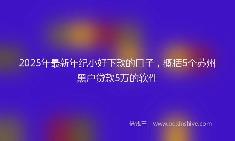 2025年最新年纪小好下款的口子，概括5个苏州黑户贷款5万的软件