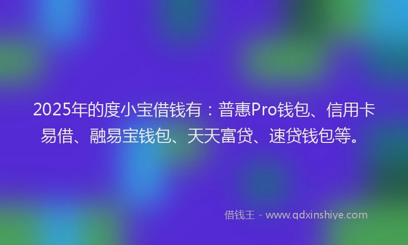 2025年的度小宝借钱有：普惠Pro钱包、信用卡易借、融易宝钱包、天天富贷、速贷钱包等。