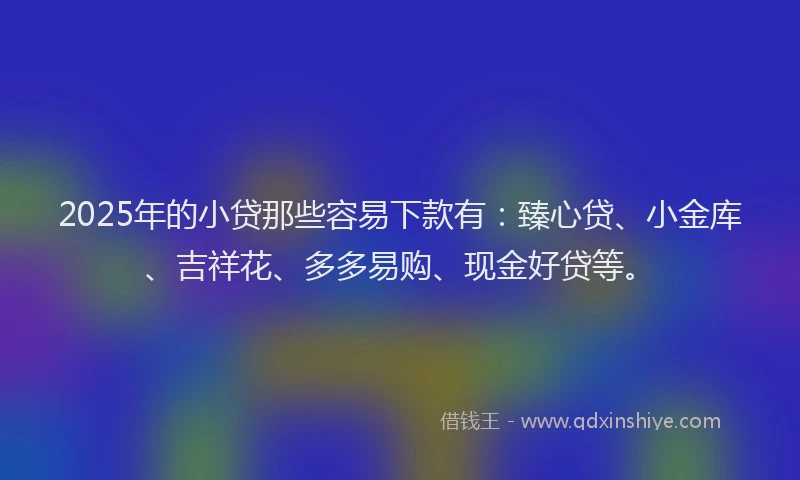 2025年的小贷那些容易下款有：臻心贷、小金库、吉祥花、多多易购、现金好贷等。