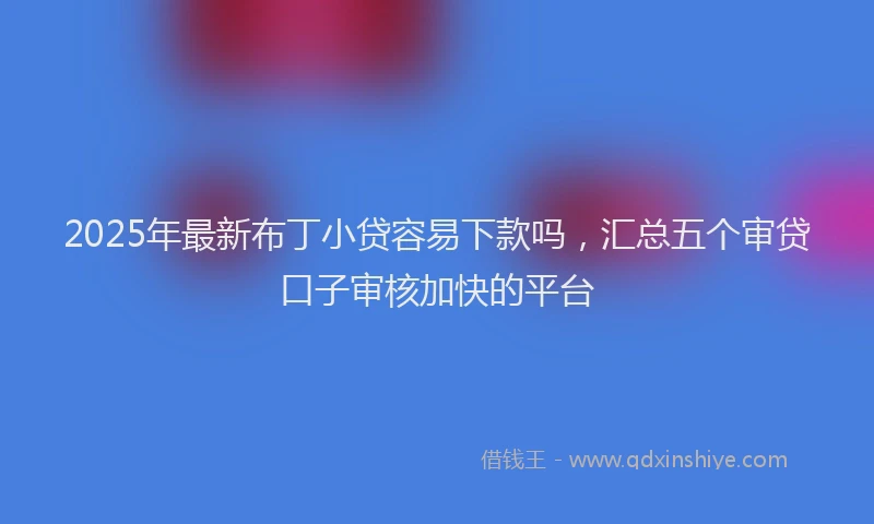 2025年最新布丁小贷容易下款吗，汇总五个审贷口子审核加快的平台