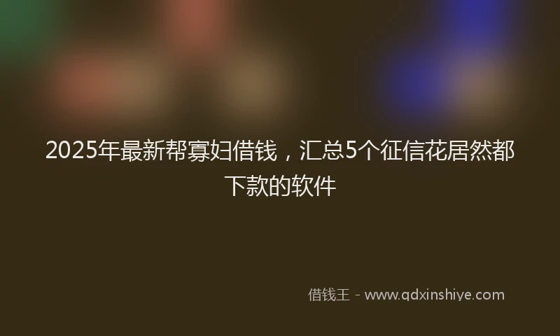2025年最新帮寡妇借钱，汇总5个征信花居然都下款的软件