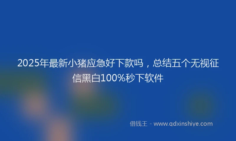 2025年最新小猪应急好下款吗，总结五个无视征信黑白100%秒下软件
