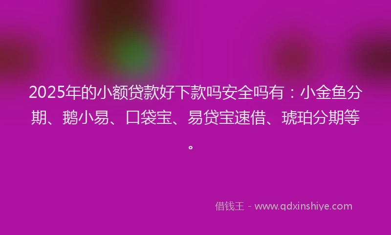 2025年的小额贷款好下款吗安全吗有：小金鱼分期、鹅小易、口袋宝、易贷宝速借、琥珀分期等。