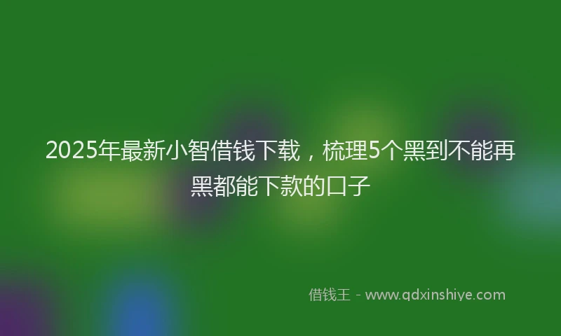 2025年最新小智借钱下载，梳理5个黑到不能再黑都能下款的口子