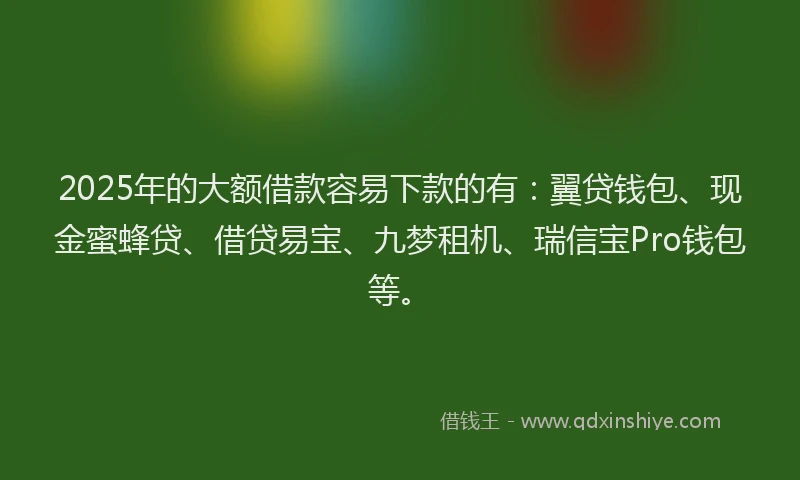 2025年的大额借款容易下款的有：翼贷钱包、现金蜜蜂贷、借贷易宝、九梦租机、瑞信宝Pro钱包等。