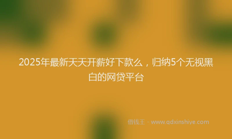 2025年最新天天开薪好下款么，归纳5个无视黑白的网贷平台