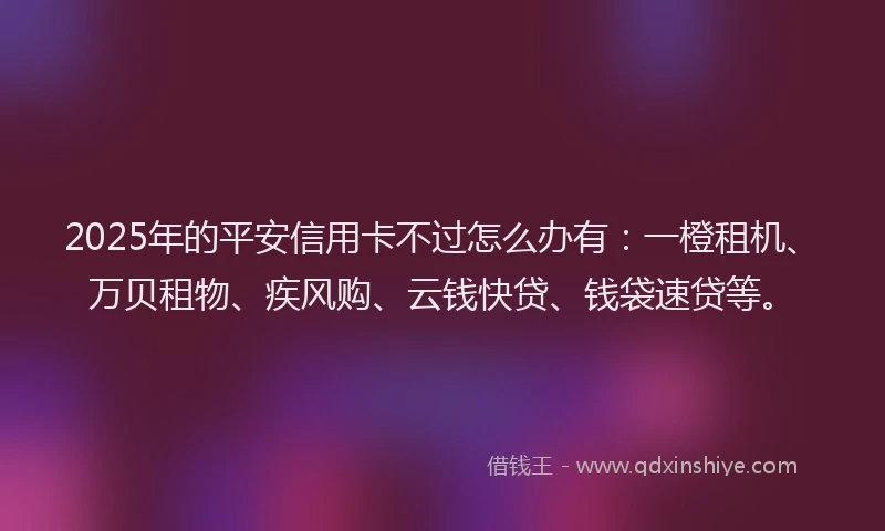 2025年的平安信用卡不过怎么办有：一橙租机、万贝租物、疾风购、云钱快贷、钱袋速贷等。