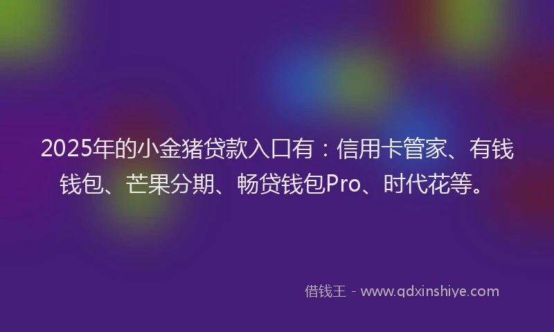 2025年的小金猪贷款入口有：信用卡管家、有钱钱包、芒果分期、畅贷钱包Pro、时代花等。