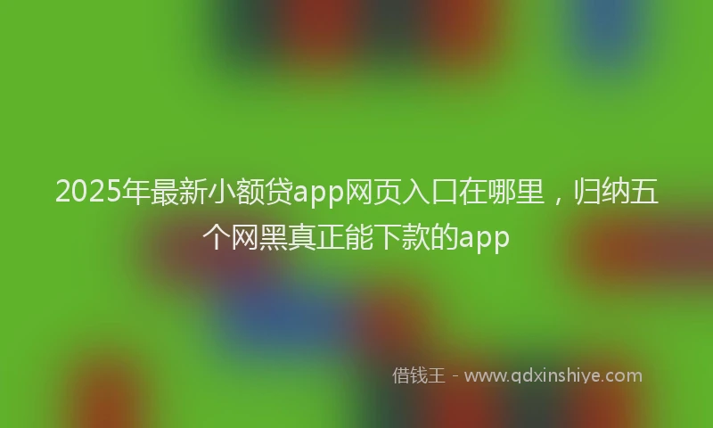 2025年最新小额贷app网页入口在哪里，归纳五个网黑真正能下款的app