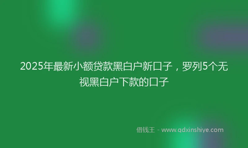 2025年最新小额贷款黑白户新口子，罗列5个无视黑白户下款的口子