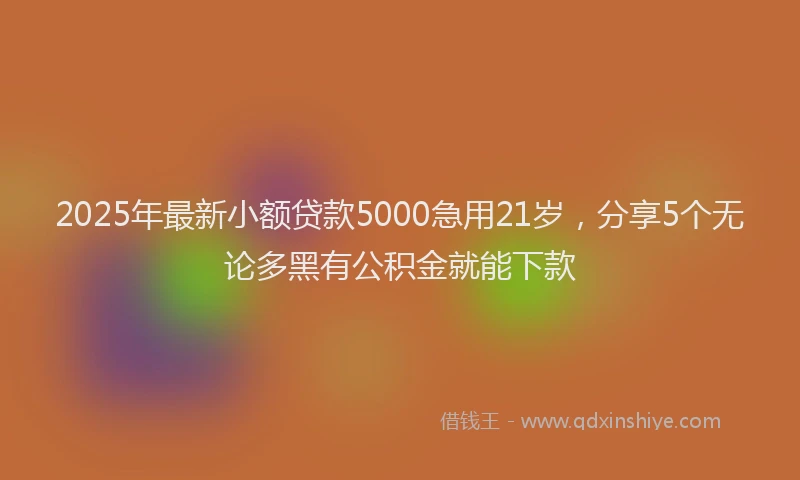2025年最新小额贷款5000急用21岁，分享5个无论多黑有公积金就能下款