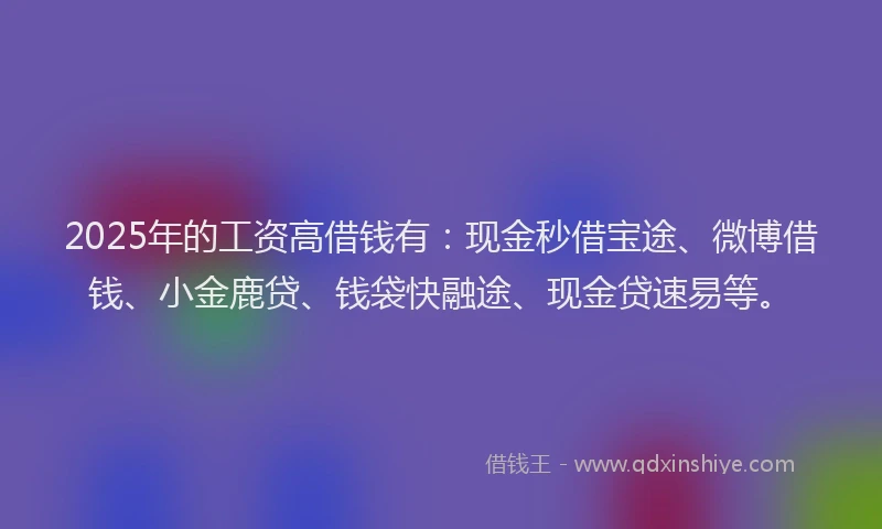 2025年的工资高借钱有：现金秒借宝途、微博借钱、小金鹿贷、钱袋快融途、现金贷速易等。
