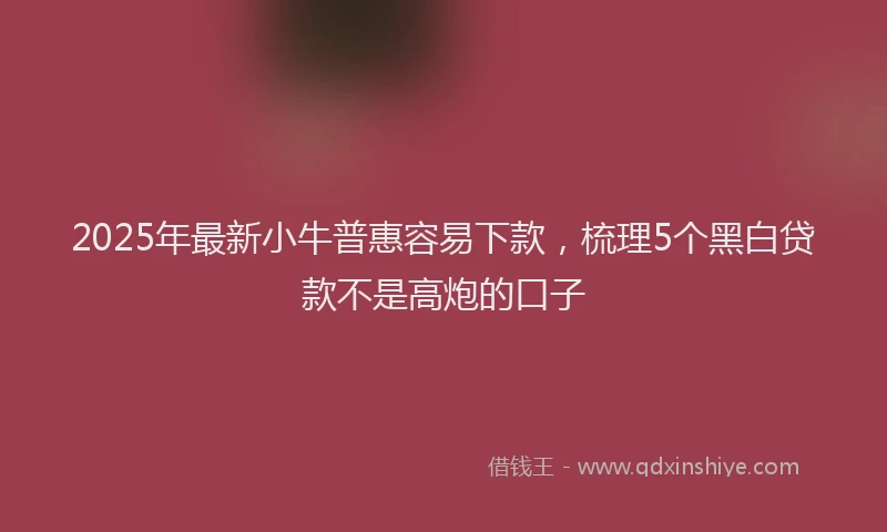 2025年最新小牛普惠容易下款，梳理5个黑白贷款不是高炮的口子