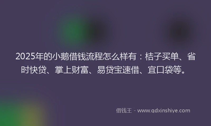 2025年的小鹅借钱流程怎么样有：桔子买单、省时快贷、掌上财富、易贷宝速借、宜口袋等。