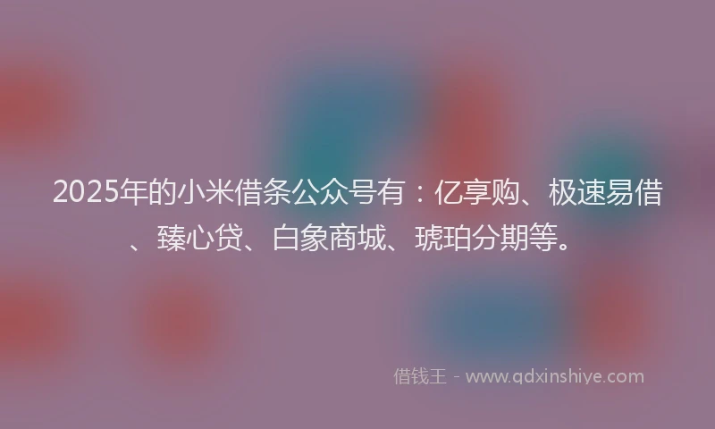 2025年的小米借条公众号有：亿享购、极速易借、臻心贷、白象商城、琥珀分期等。