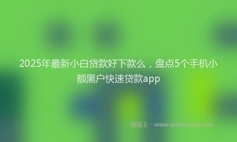 2025年最新小白贷款好下款么，盘点5个手机小额黑户快速贷款app