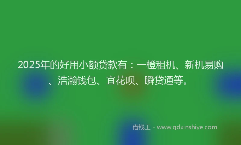 2025年的好用小额贷款有：一橙租机、新机易购、浩瀚钱包、宜花呗、瞬贷通等。