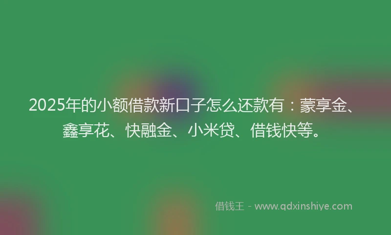 2025年的小额借款新口子怎么还款有：蒙享金、鑫享花、快融金、小米贷、借钱快等。
