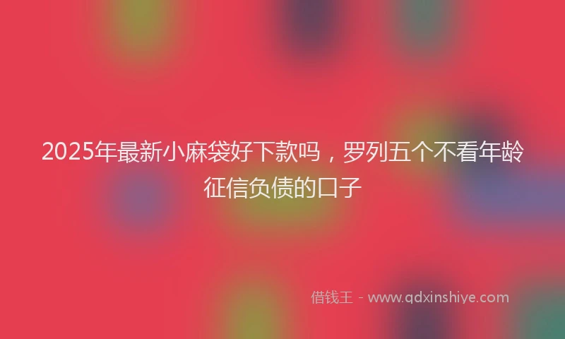2025年最新小麻袋好下款吗，罗列五个不看年龄征信负债的口子