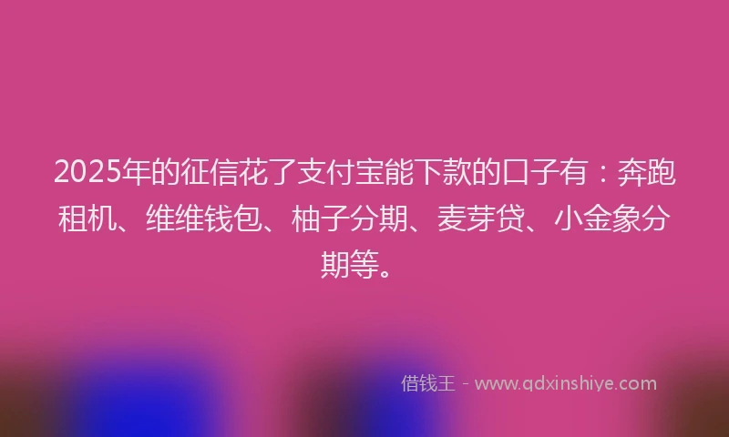 2025年的征信花了支付宝能下款的口子有：奔跑租机、维维钱包、柚子分期、麦芽贷、小金象分期等。