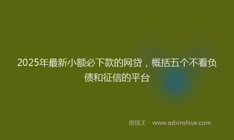 2025年最新小额必下款的网贷，概括五个不看负债和征信的平台