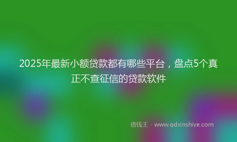 2025年最新小额贷款都有哪些平台，盘点5个真正不查征信的贷款软件