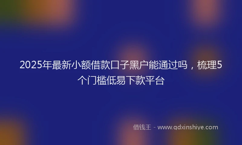 2025年最新小额借款口子黑户能通过吗，梳理5个门槛低易下款平台