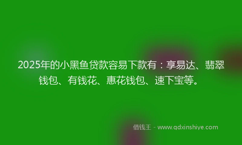 2025年的小黑鱼贷款容易下款有：享易达、翡翠钱包、有钱花、惠花钱包、速下宝等。