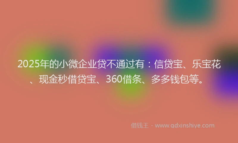 2025年的小微企业贷不通过有：信贷宝、乐宝花、现金秒借贷宝、360借条、多多钱包等。