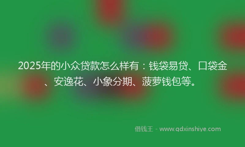 2025年的小众贷款怎么样有：钱袋易贷、口袋金、安逸花、小象分期、菠萝钱包等。