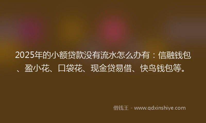2025年的小额贷款没有流水怎么办有：信融钱包、盈小花、口袋花、现金贷易借、快鸟钱包等。