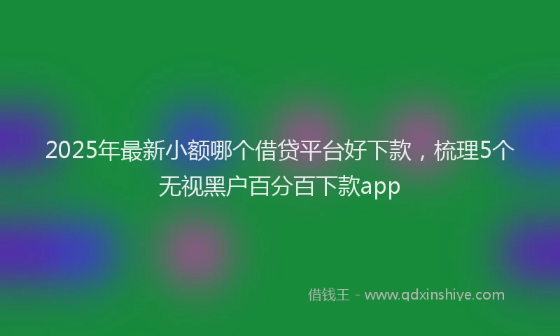 2025年最新小额哪个借贷平台好下款，梳理5个无视黑户百分百下款app