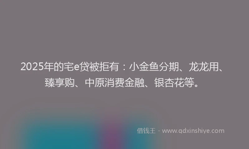 2025年的宅e贷被拒有：小金鱼分期、龙龙用、臻享购、中原消费金融、银杏花等。