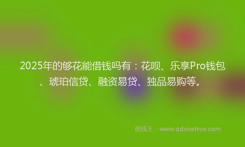2025年的够花能借钱吗有：花呗、乐享Pro钱包、琥珀信贷、融资易贷、独品易购等。
