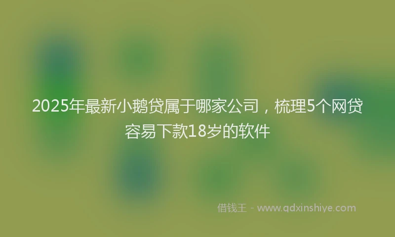 2025年最新小鹅贷属于哪家公司，梳理5个网贷容易下款18岁的软件