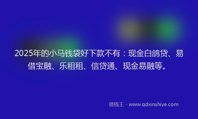 2025年的小马钱袋好下款不有：现金白鸽贷、易借宝融、乐租租、信贷通、现金易融等。