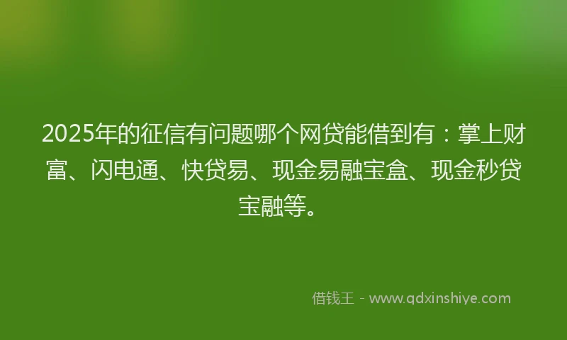 2025年的征信有问题哪个网贷能借到有：掌上财富、闪电通、快贷易、现金易融宝盒、现金秒贷宝融等。