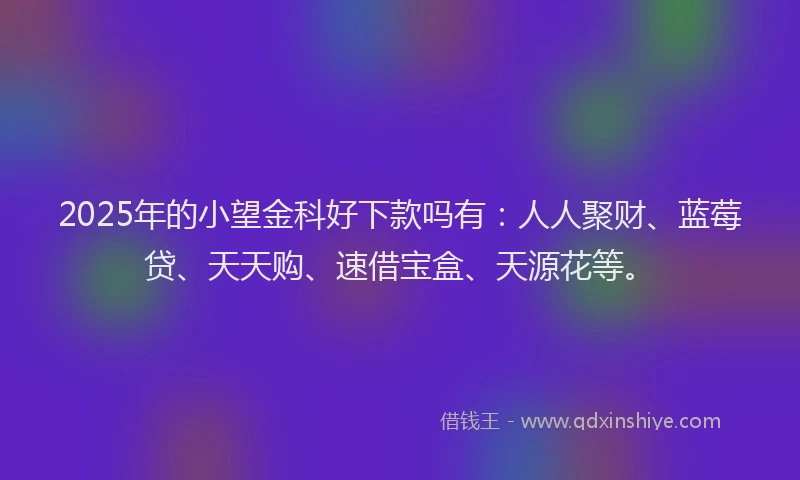 2025年的小望金科好下款吗有：人人聚财、蓝莓贷、天天购、速借宝盒、天源花等。