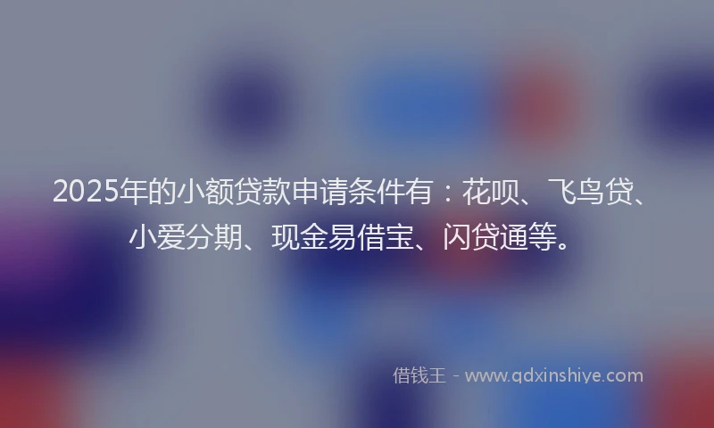 2025年的小额贷款申请条件有：花呗、飞鸟贷、小爱分期、现金易借宝、闪贷通等。