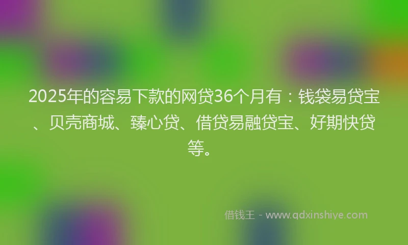 2025年的容易下款的网贷36个月有：钱袋易贷宝、贝壳商城、臻心贷、借贷易融贷宝、好期快贷等。