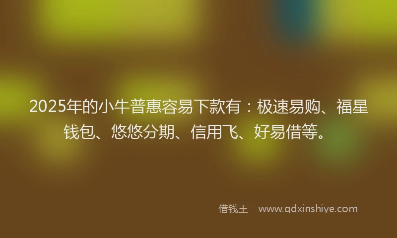 2025年的小牛普惠容易下款有：极速易购、福星钱包、悠悠分期、信用飞、好易借等。