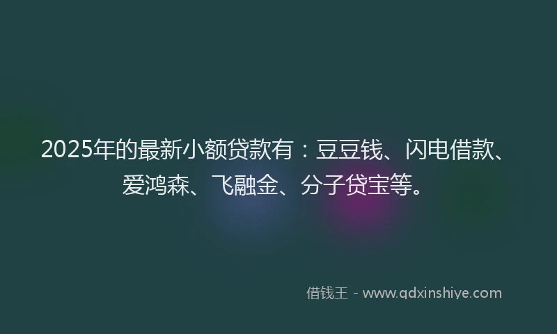 2025年的最新小额贷款有：豆豆钱、闪电借款、爱鸿森、飞融金、分子贷宝等。