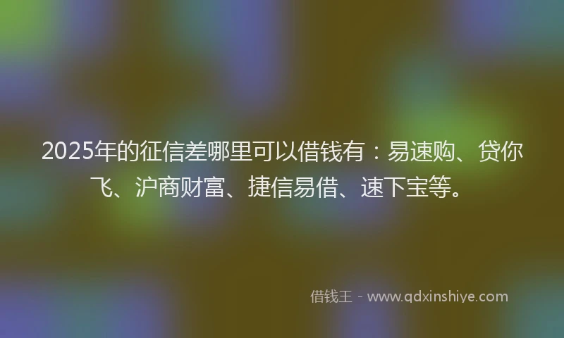 2025年的征信差哪里可以借钱有：易速购、贷你飞、沪商财富、捷信易借、速下宝等。