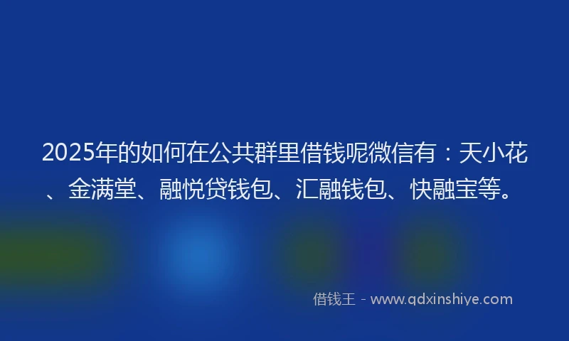 2025年的如何在公共群里借钱呢微信有：天小花、金满堂、融悦贷钱包、汇融钱包、快融宝等。