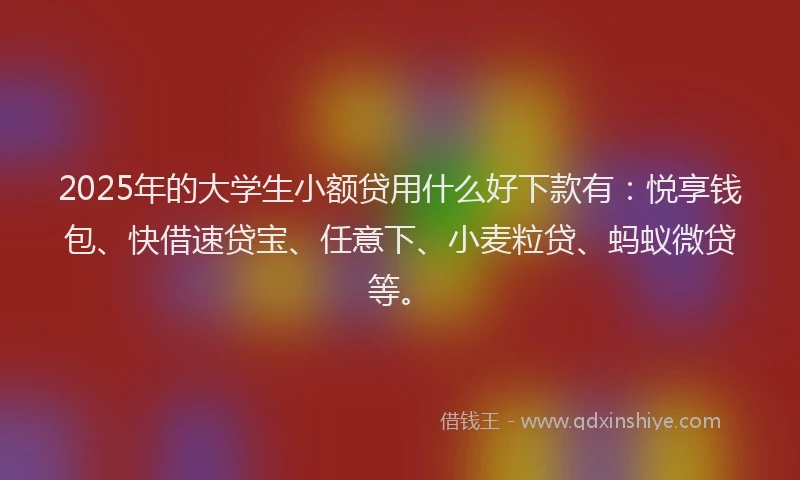 2025年的大学生小额贷用什么好下款有：悦享钱包、快借速贷宝、任意下、小麦粒贷、蚂蚁微贷等。