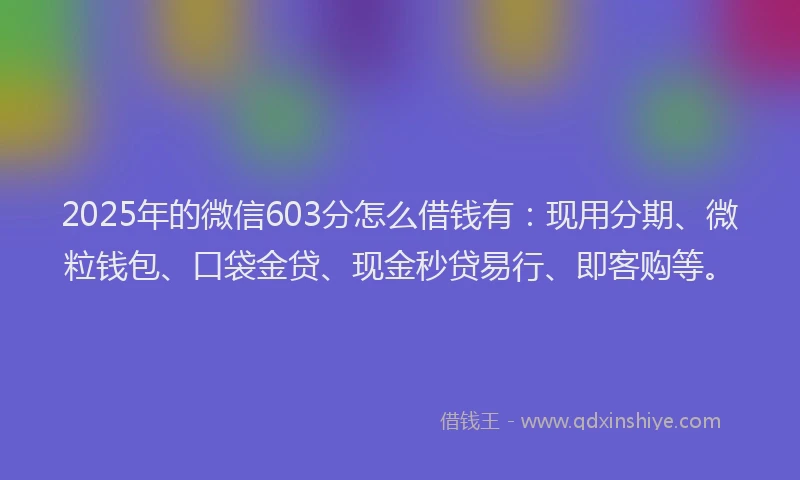 2025年的微信603分怎么借钱有：现用分期、微粒钱包、口袋金贷、现金秒贷易行、即客购等。