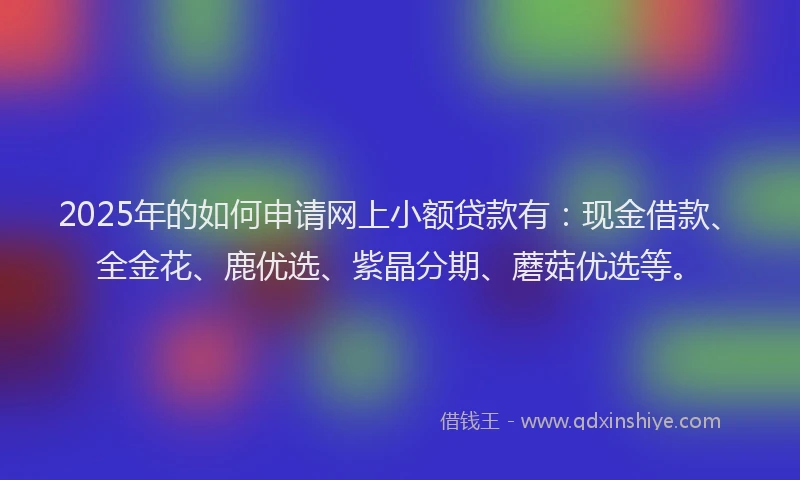 2025年的如何申请网上小额贷款有：现金借款、全金花、鹿优选、紫晶分期、蘑菇优选等。