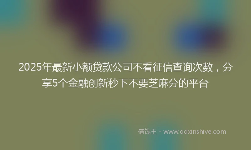 2025年最新小额贷款公司不看征信查询次数，分享5个金融创新秒下不要芝麻分的平台